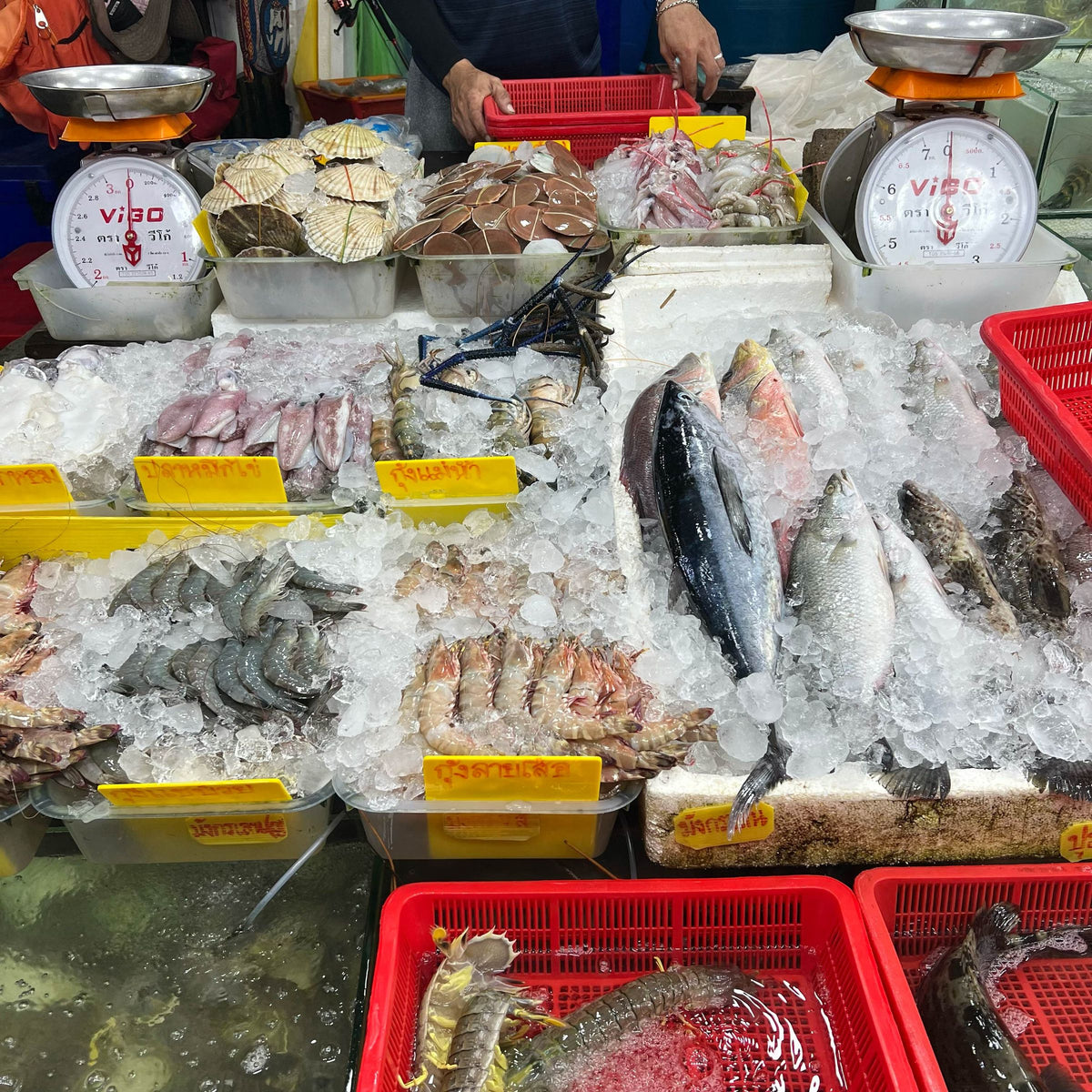 Fresh fish, prawns and shellfish on ice at a seafood market in Phuket