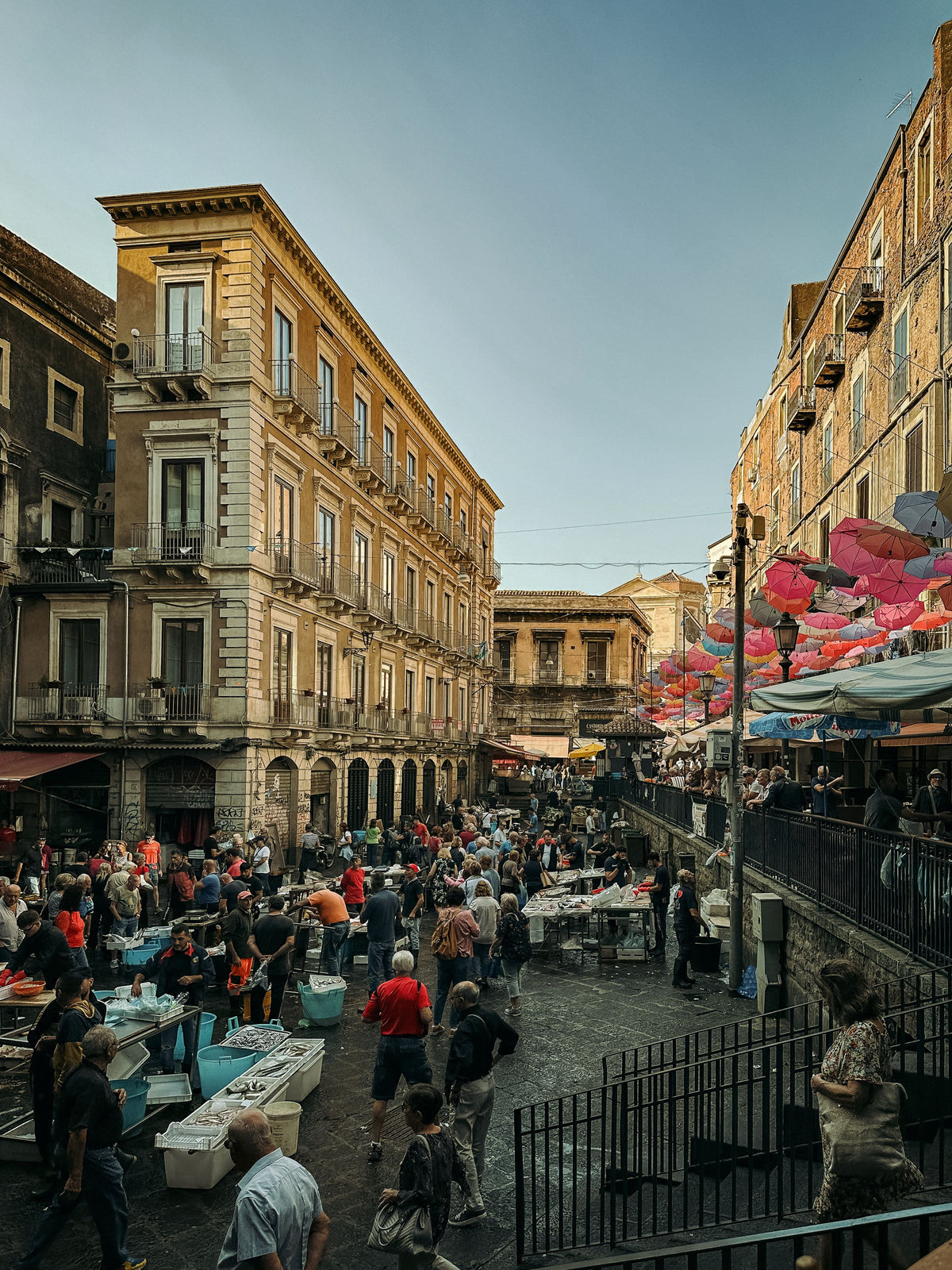 Morning crowds at the fish market