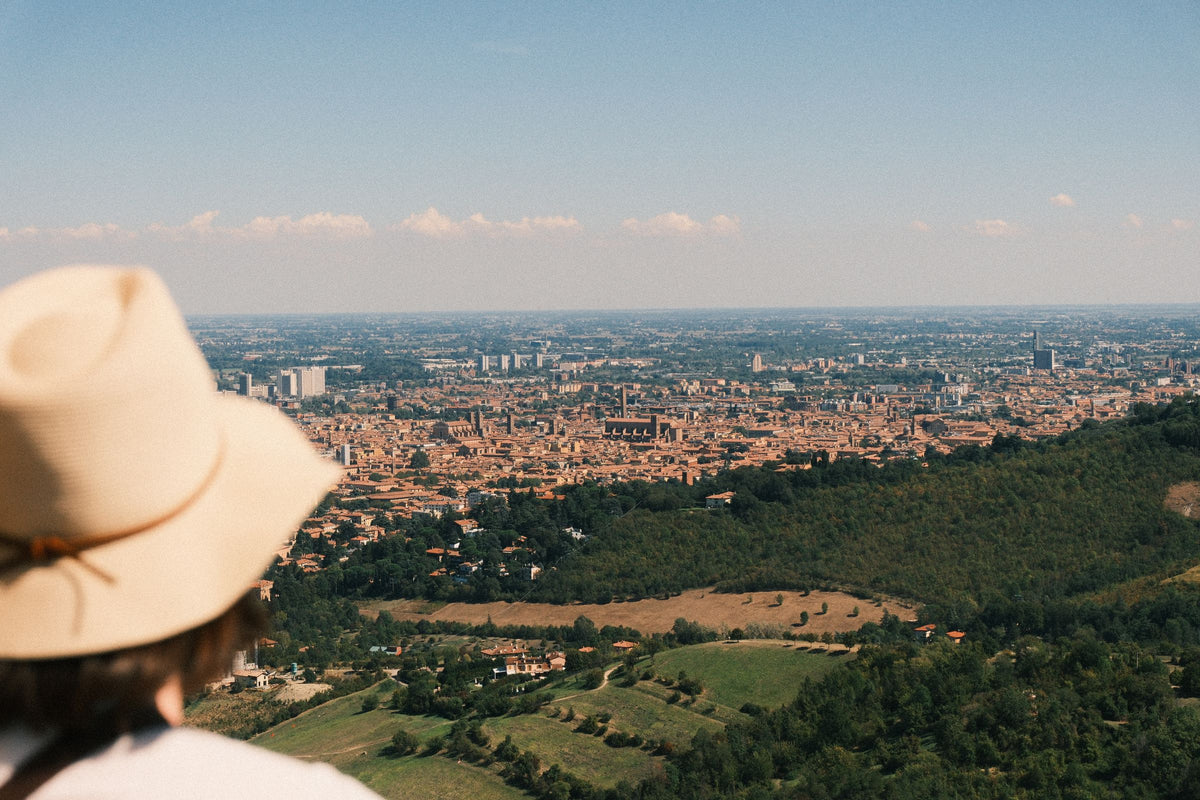 A wide view over Bologna from a hilltop