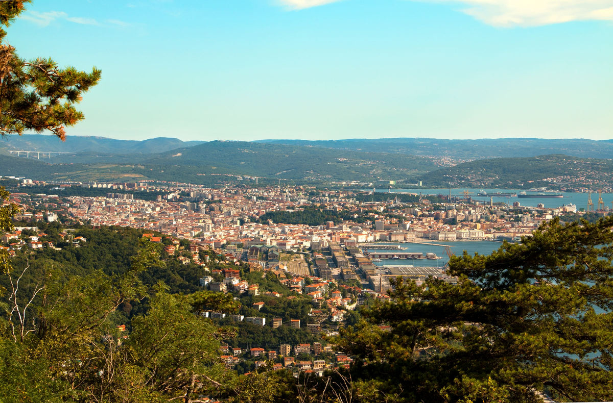 Trieste from the Karst edge