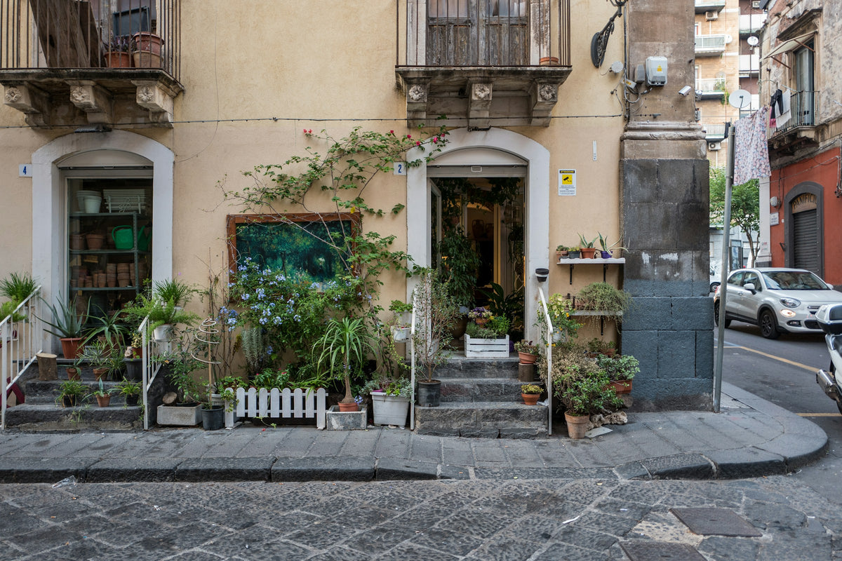A plant-filled corner shop in a residential street