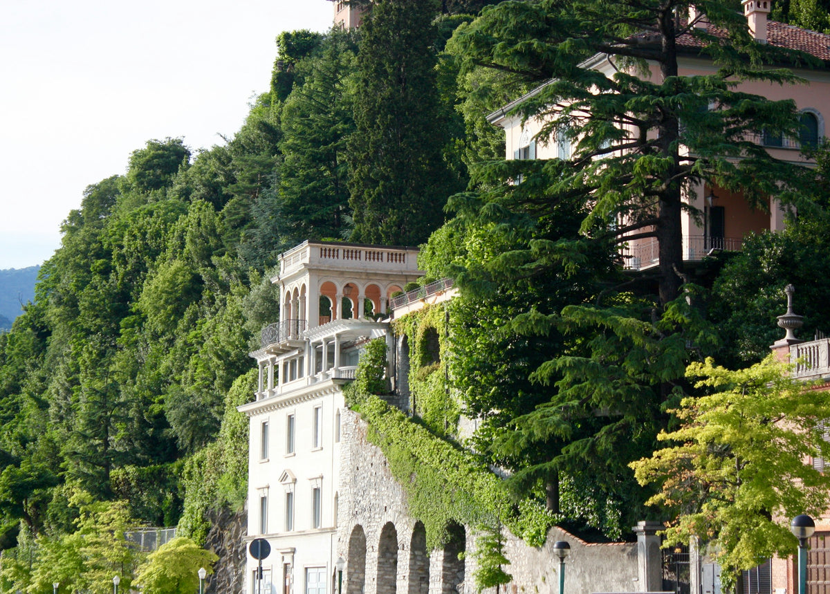 A hillside villa among the trees