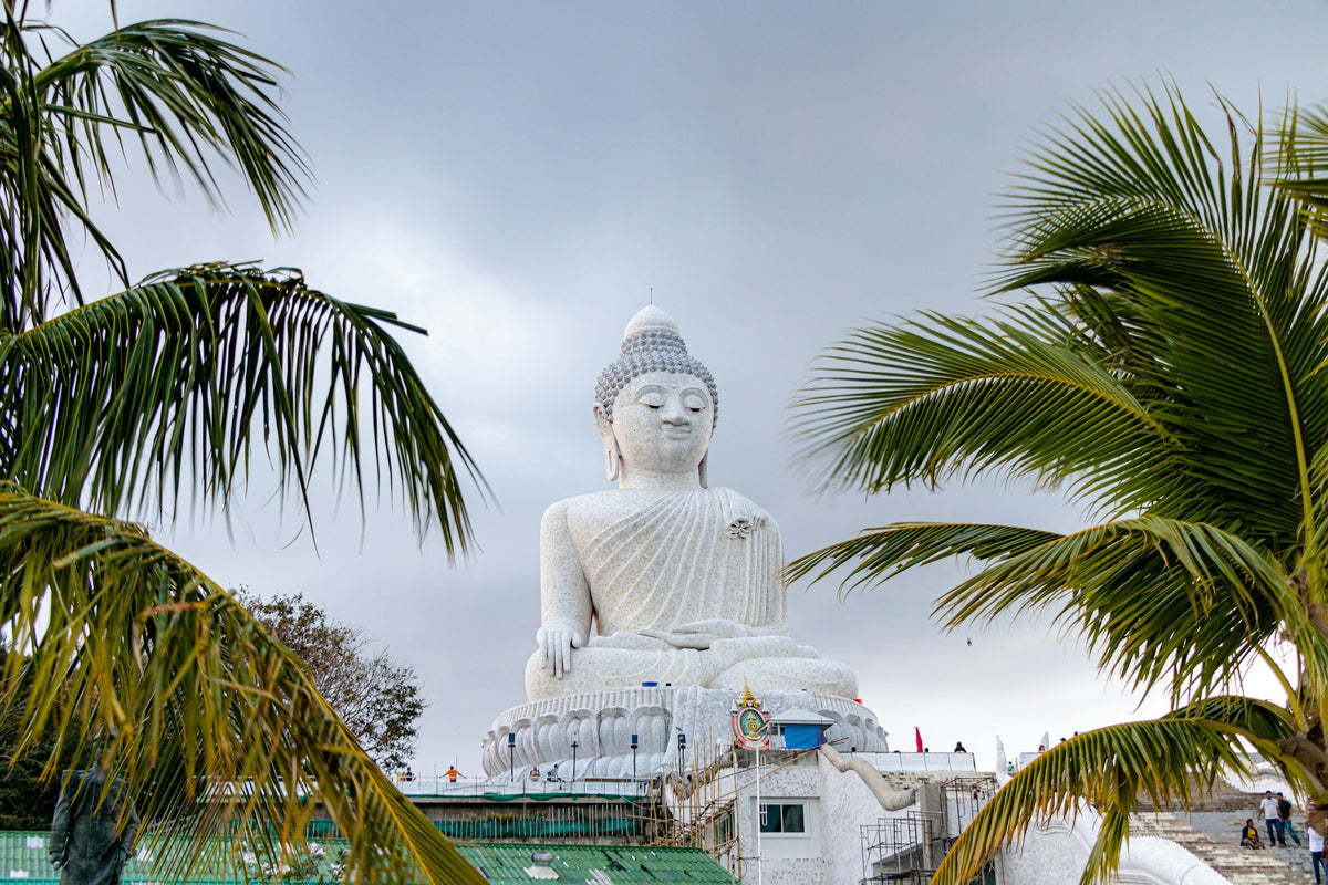 The Big Buddha statue framed by palm fronds