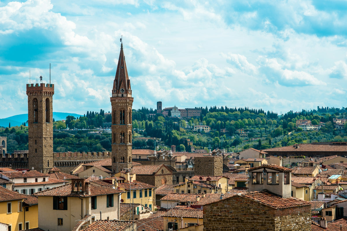 The towers of the Bargello and the Badia Fiorentina above Florence's rooftops