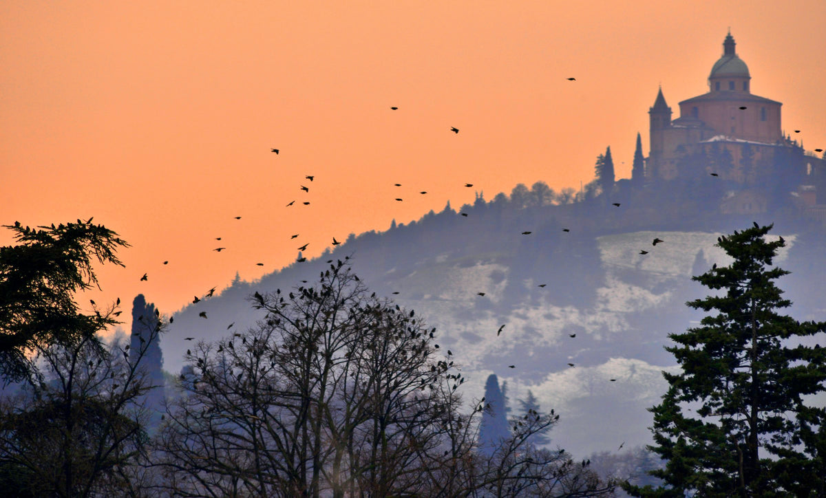 The Sanctuary of the Madonna di San Luca under a blue sky