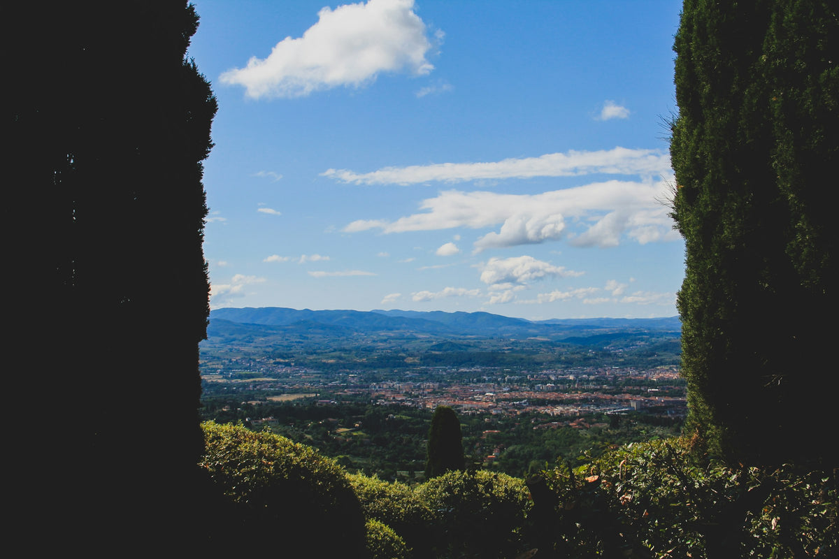 The Arno valley seen between cypresses from Fiesole