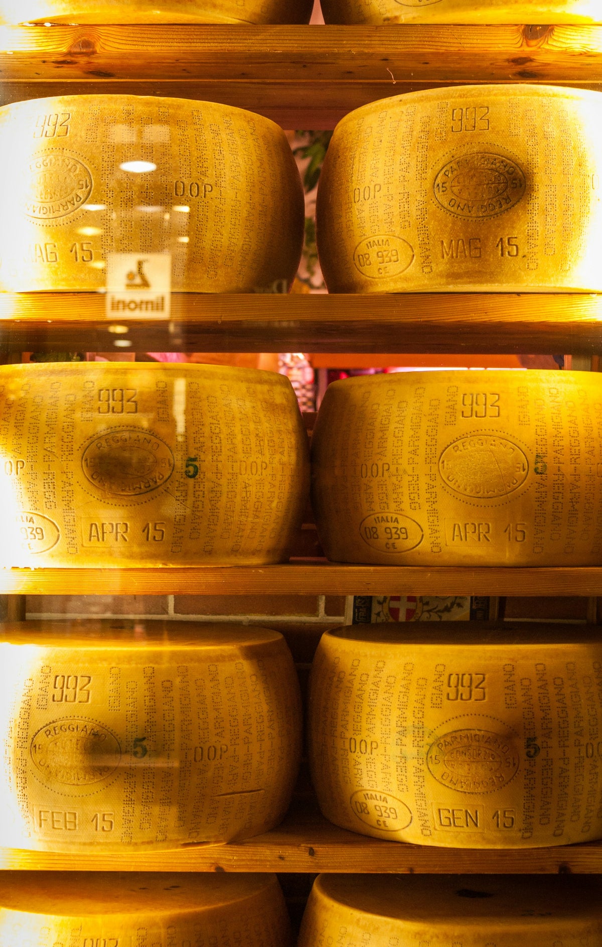 Cheese on the shelves of a shop in Bologna