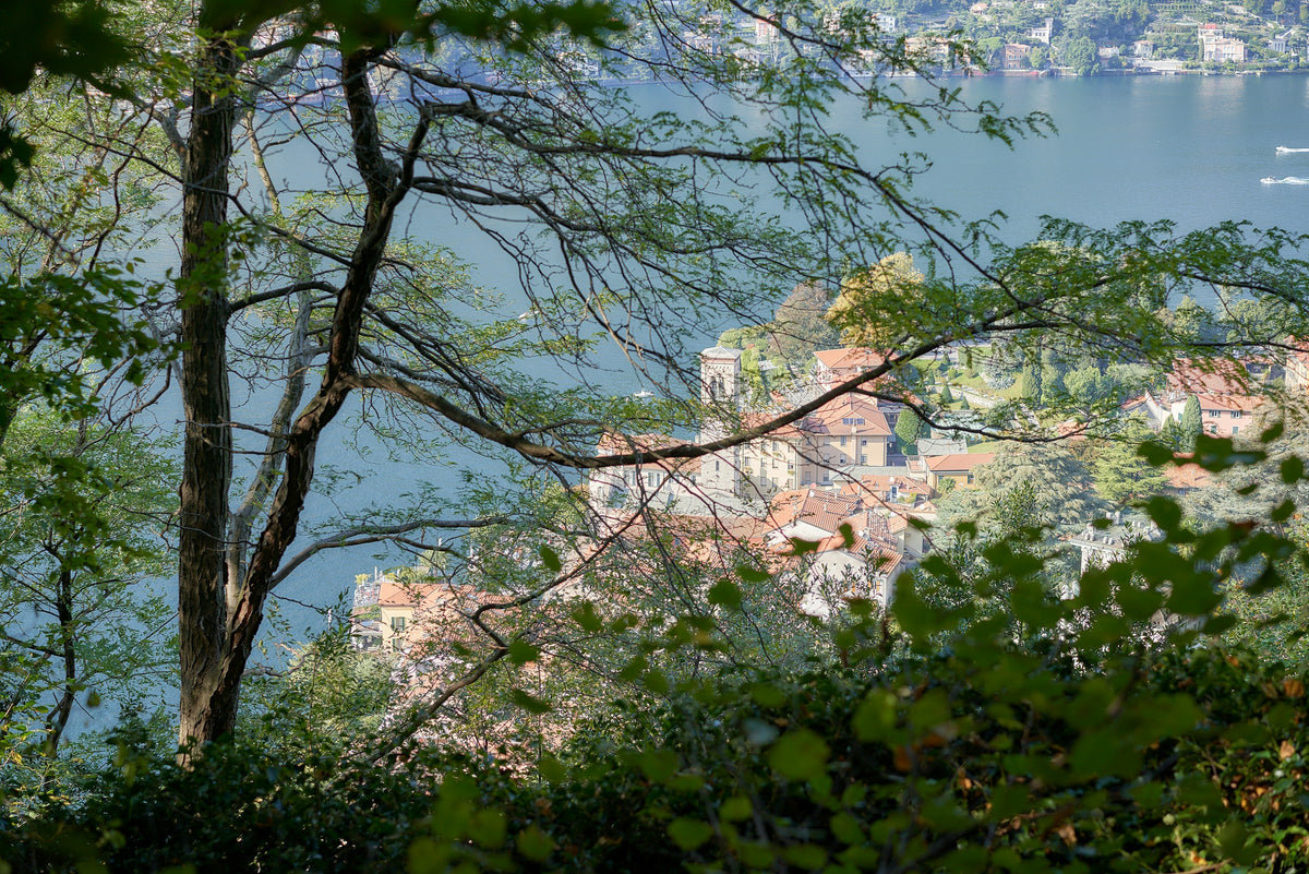 Torno and Lake Como seen from the mountains