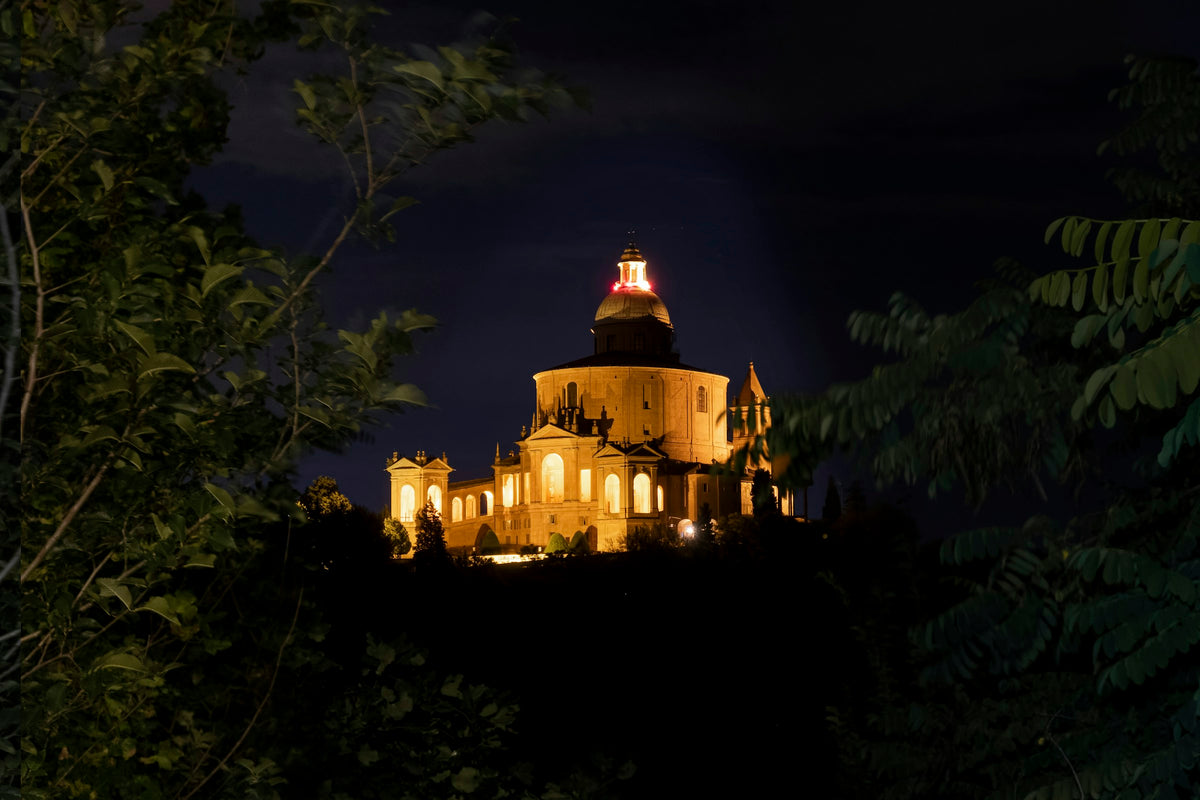 The San Luca church at night, framed by a tree