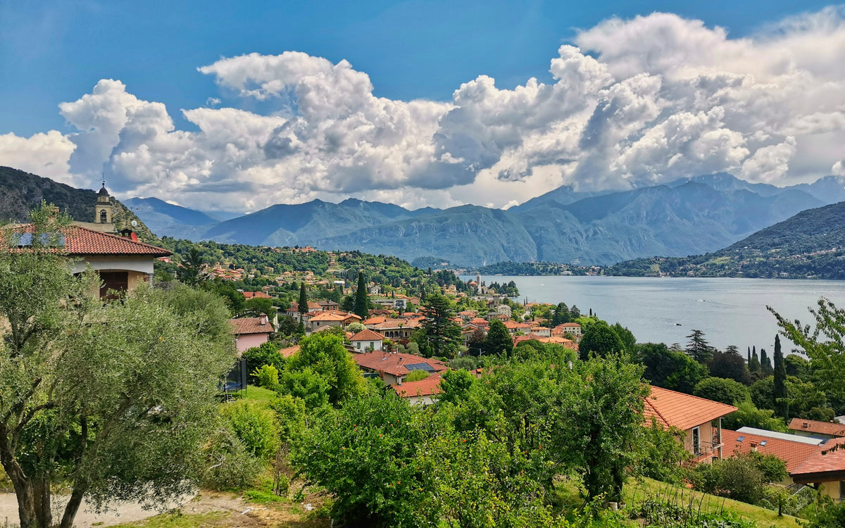 Houses among trees on the lakeshore at Lenno