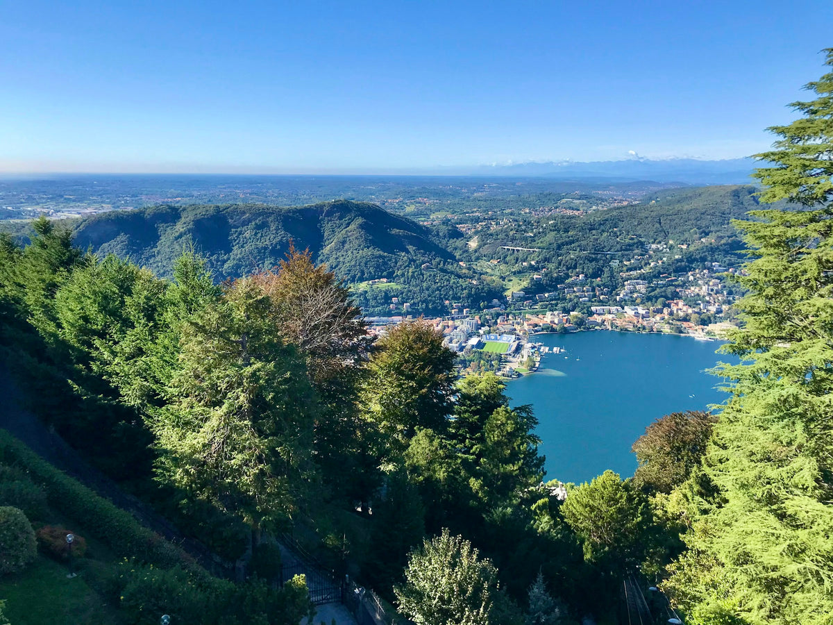 The lake and the city from the woods of Brunate