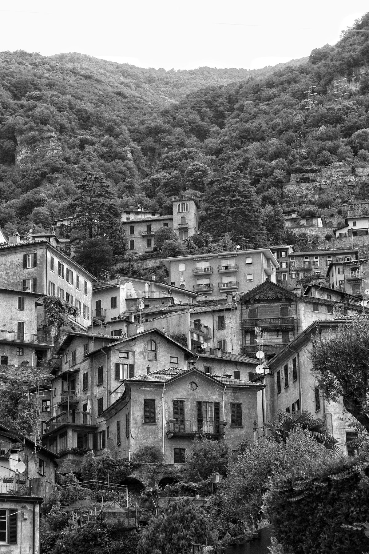 Houses climbing the hill at Moltrasio
