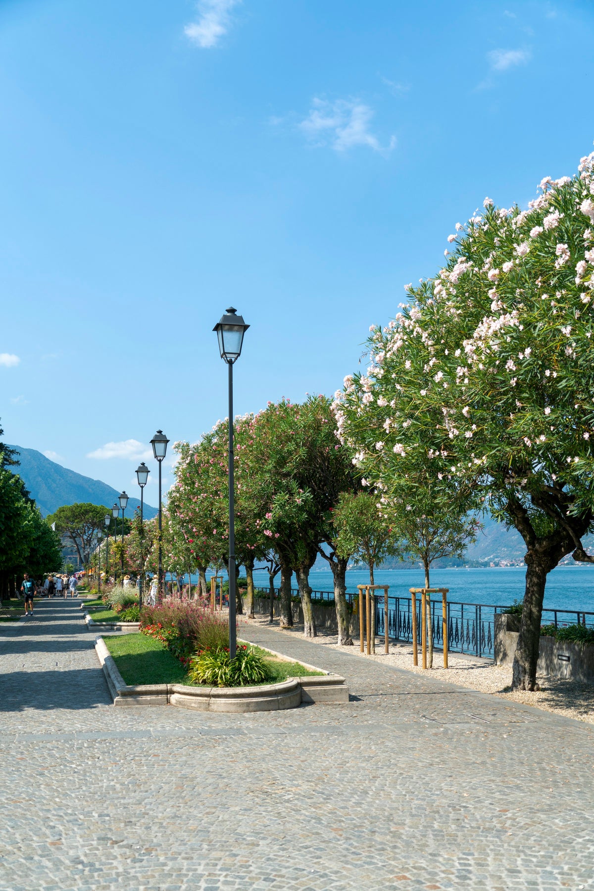 Tree-lined path with the lake beyond in Bellagio