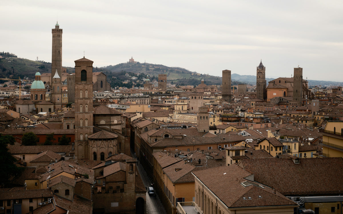 The towers of Bologna seen from the university observatory