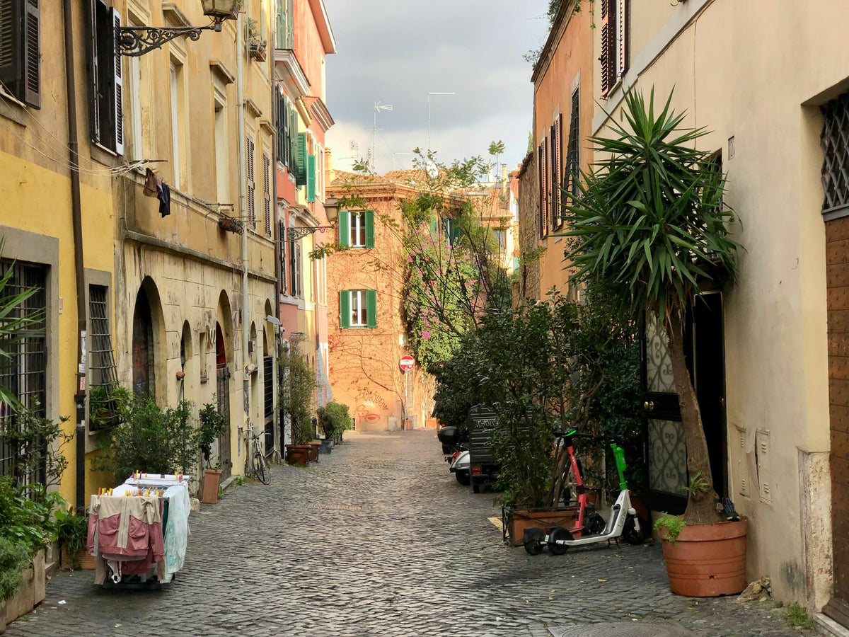 A narrow cobbled street lined with colourful houses and potted plants