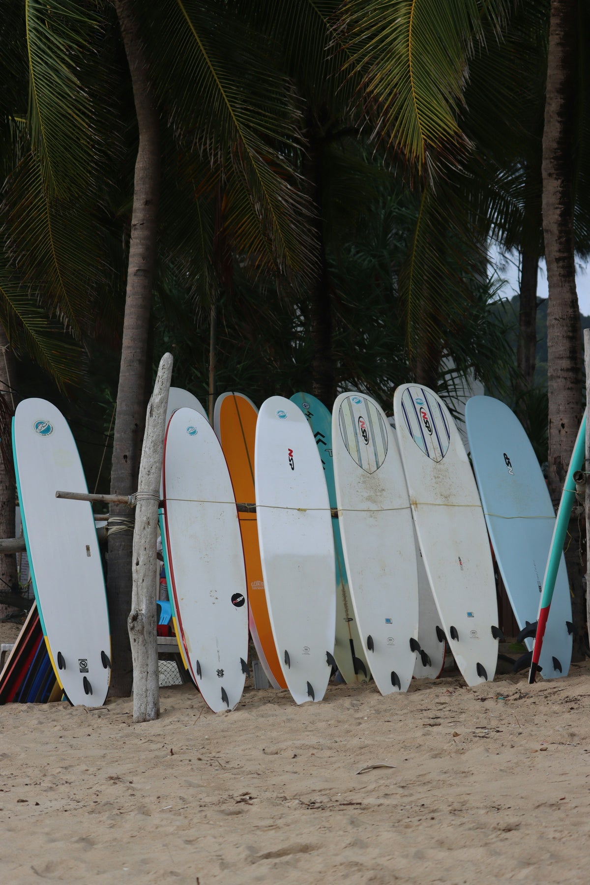 Surfboards lined up under palm trees on Karon Beach