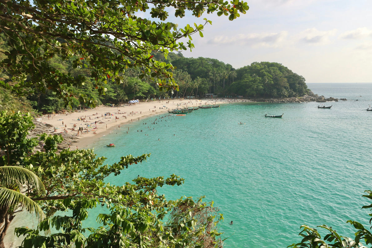 Freedom Beach and its cove framed by trees