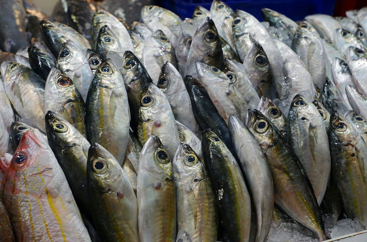 Fresh fish at a market in Phuket Town