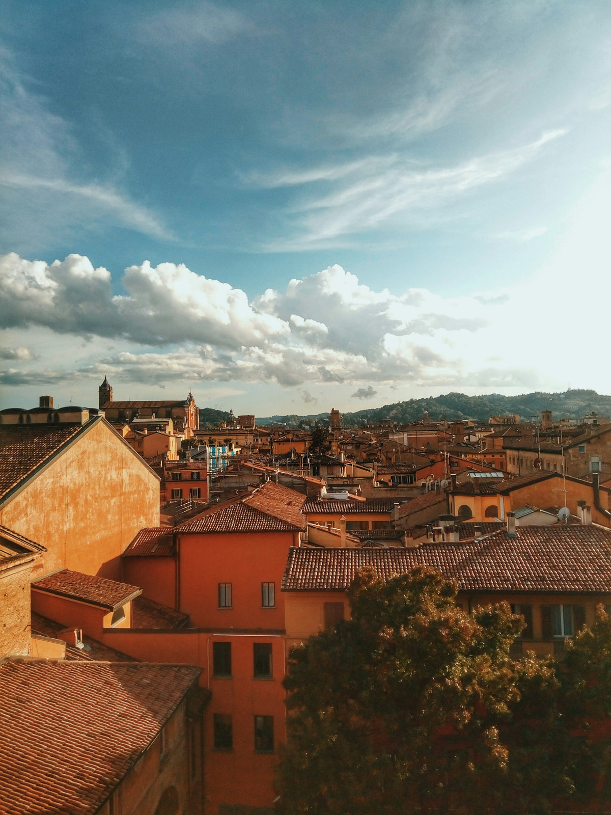 A view over Bologna from the top of a building