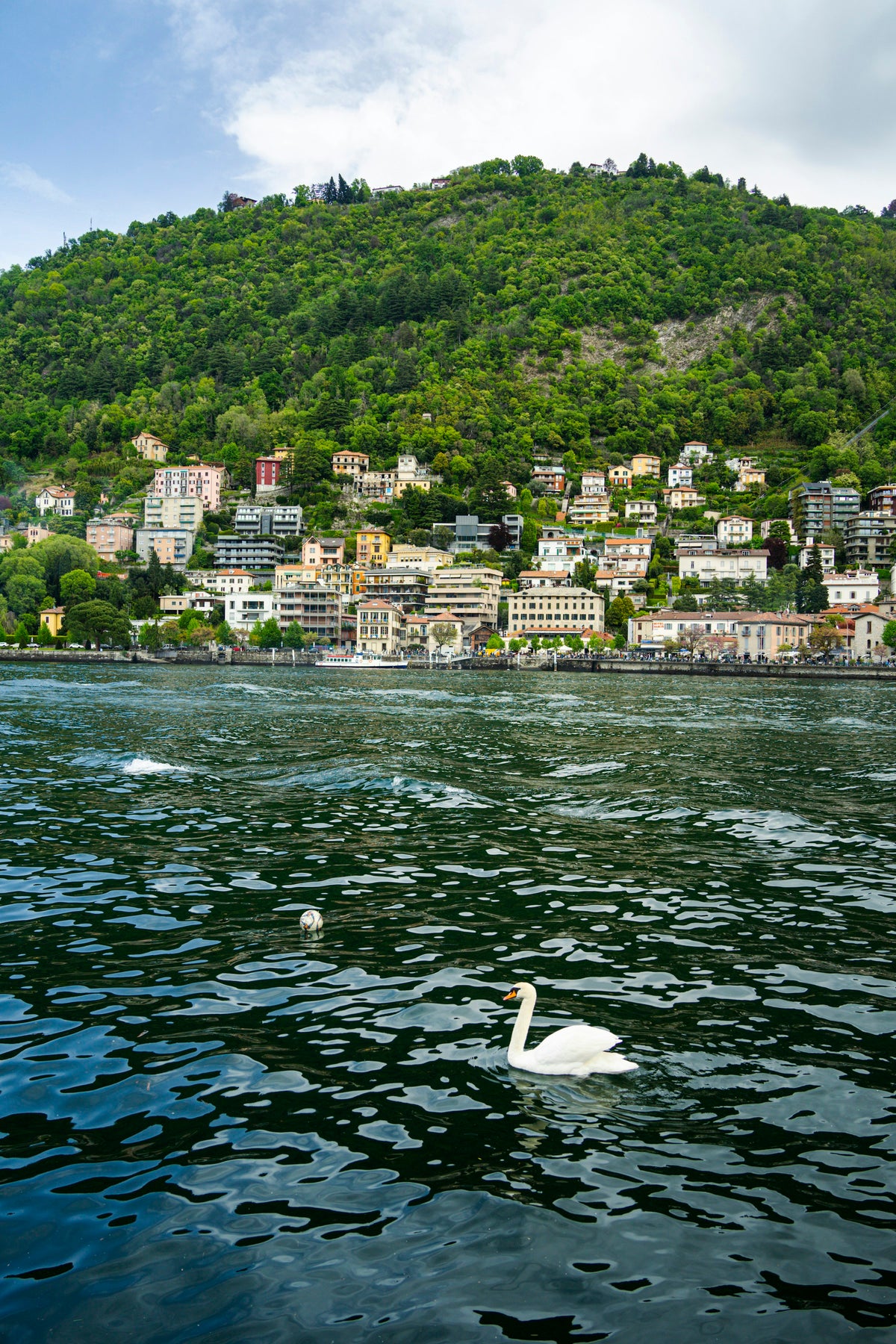 A swan on the lake below the hillside villas