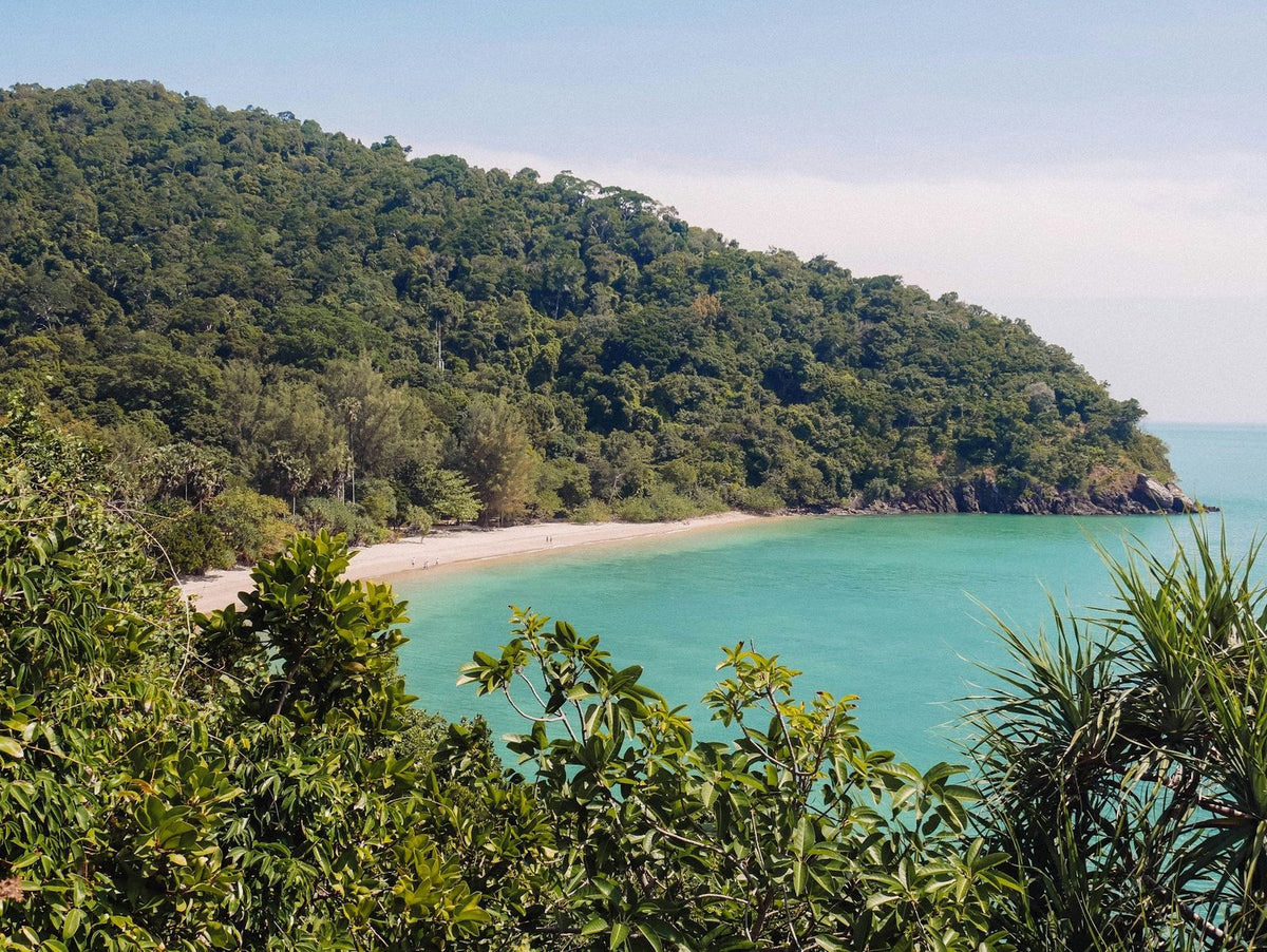 Forested headland and beach in Mu Ko Lanta National Park