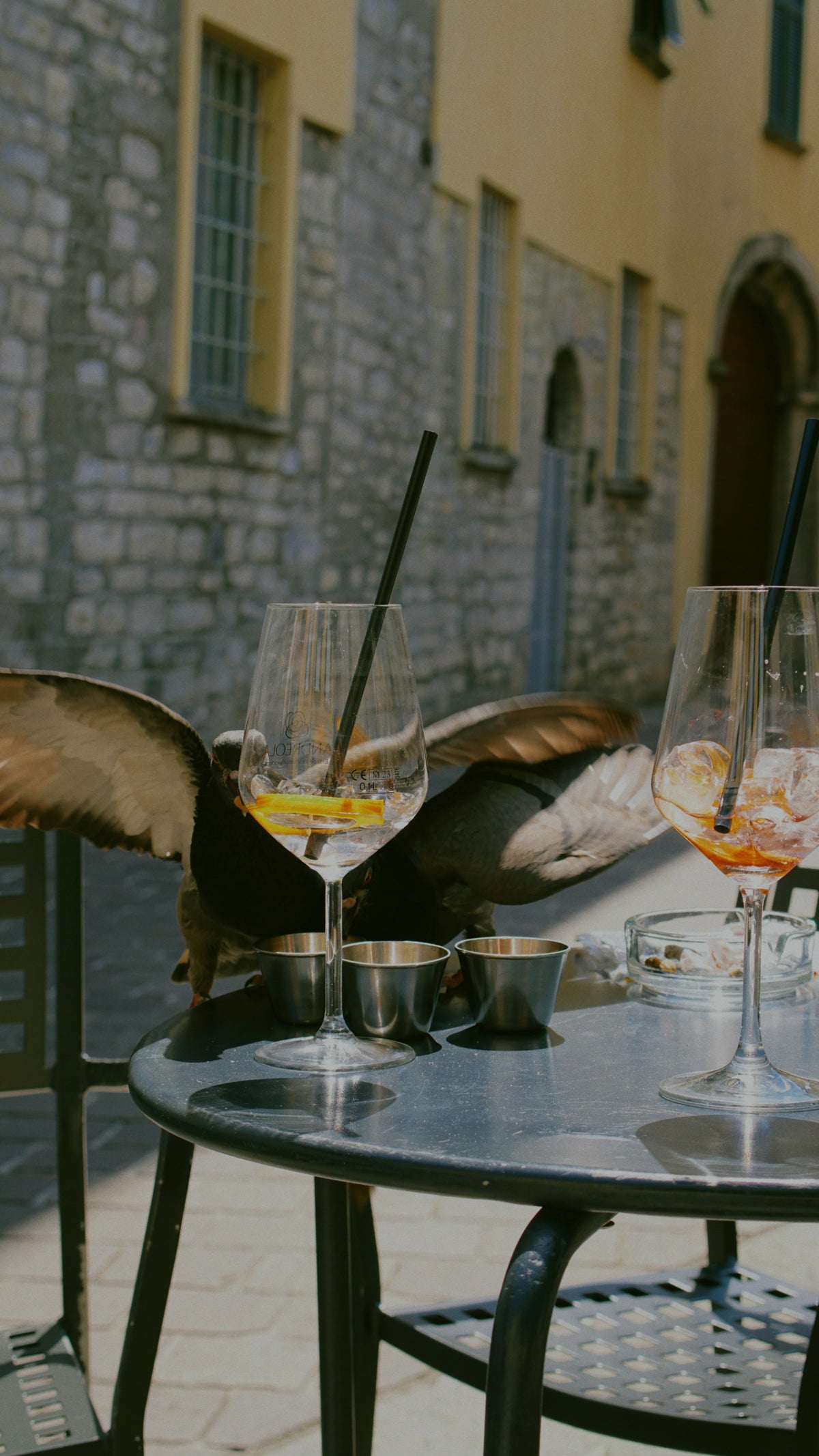Aperitivo outdoors, with an uninvited guest