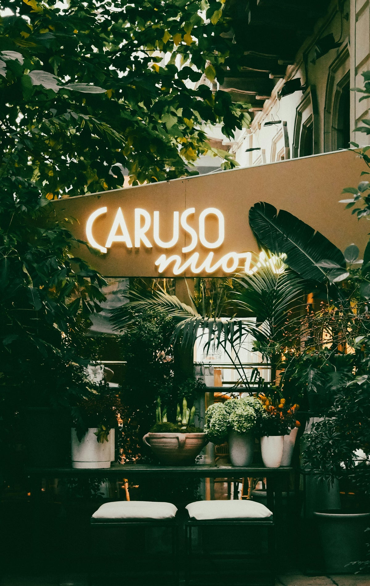 A Milan restaurant entrance with a neon sign and potted plants