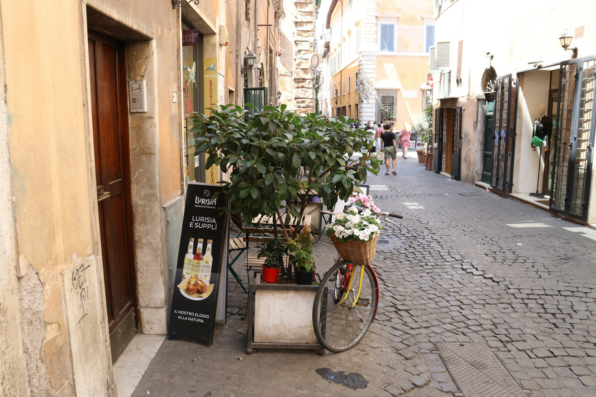 A bicycle and potted plants outside a shop in a small cobbled street