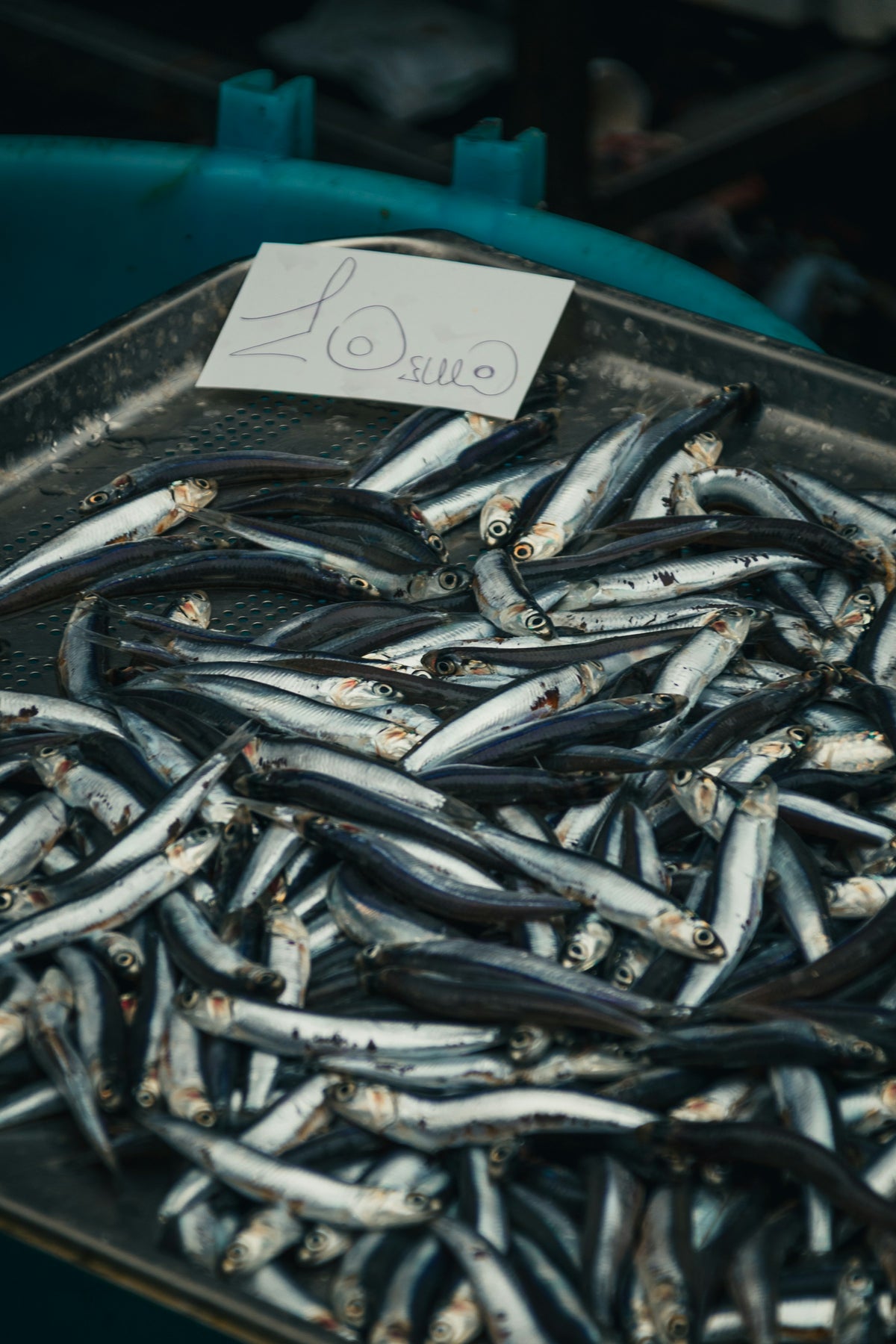 Glistening anchovies, a Catania market staple