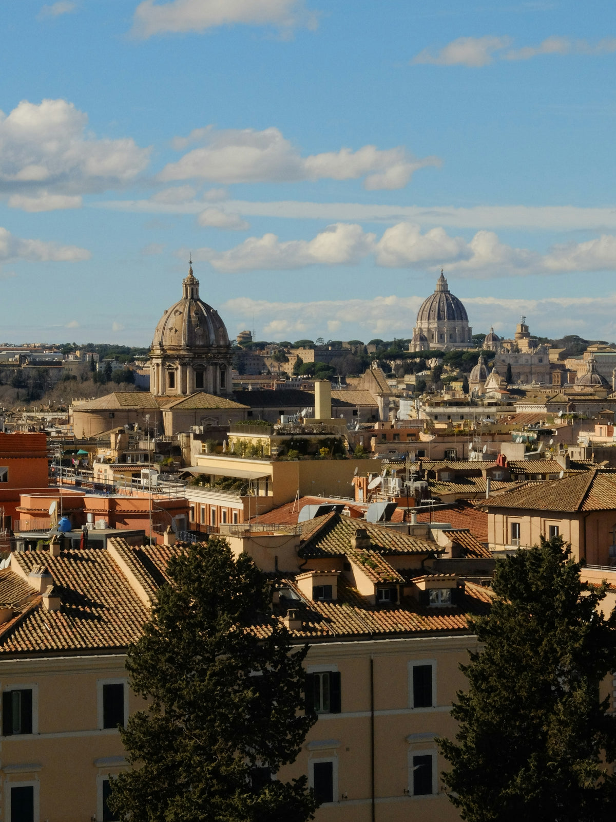 Rooftops and domes seen from the Vittoriano, with St Peter's on the skyline