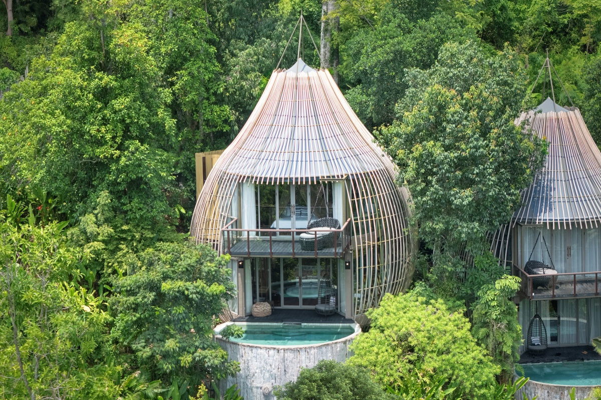 Tree Pool Houses in the rainforest canopy at Keemala