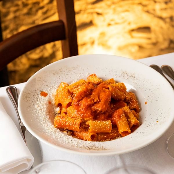 Rigatoni in tomato sauce at Flavio al Velavevodetto