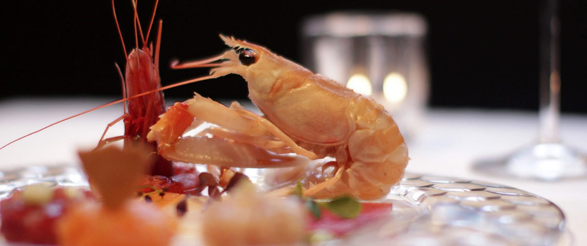 A langoustine and red prawn starter at Pierluigi