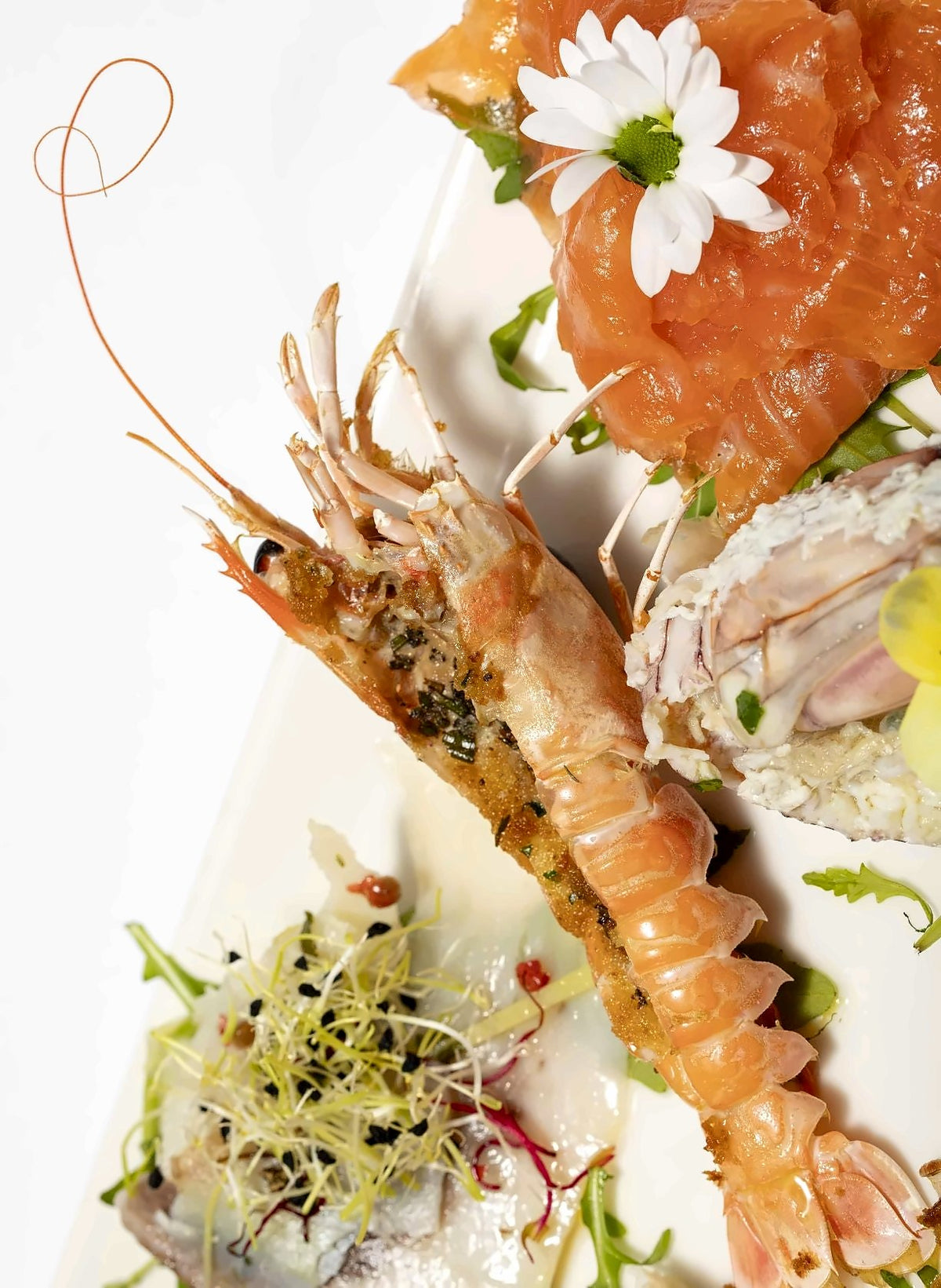 Raw seafood platter with langoustine and salmon at Oficina Ormesini